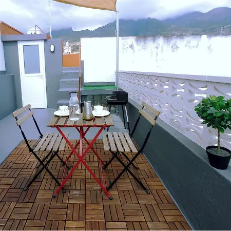 Live Palmeras Con Gran Terraza *